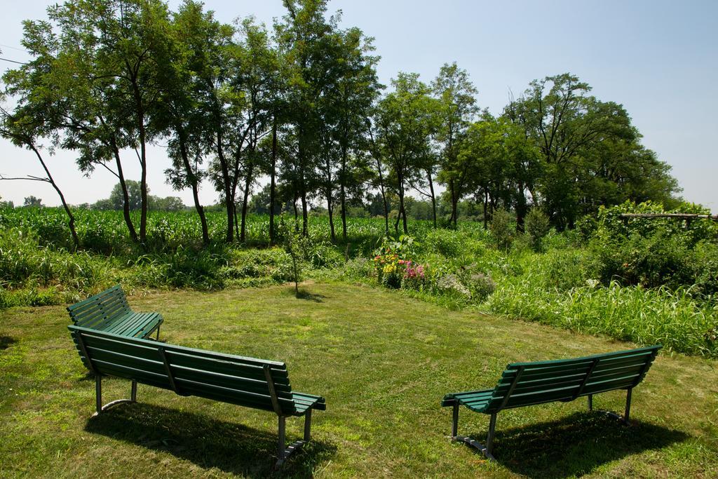 Cascina Delle Mele Bed and Breakfast Vittuone Eksteriør billede